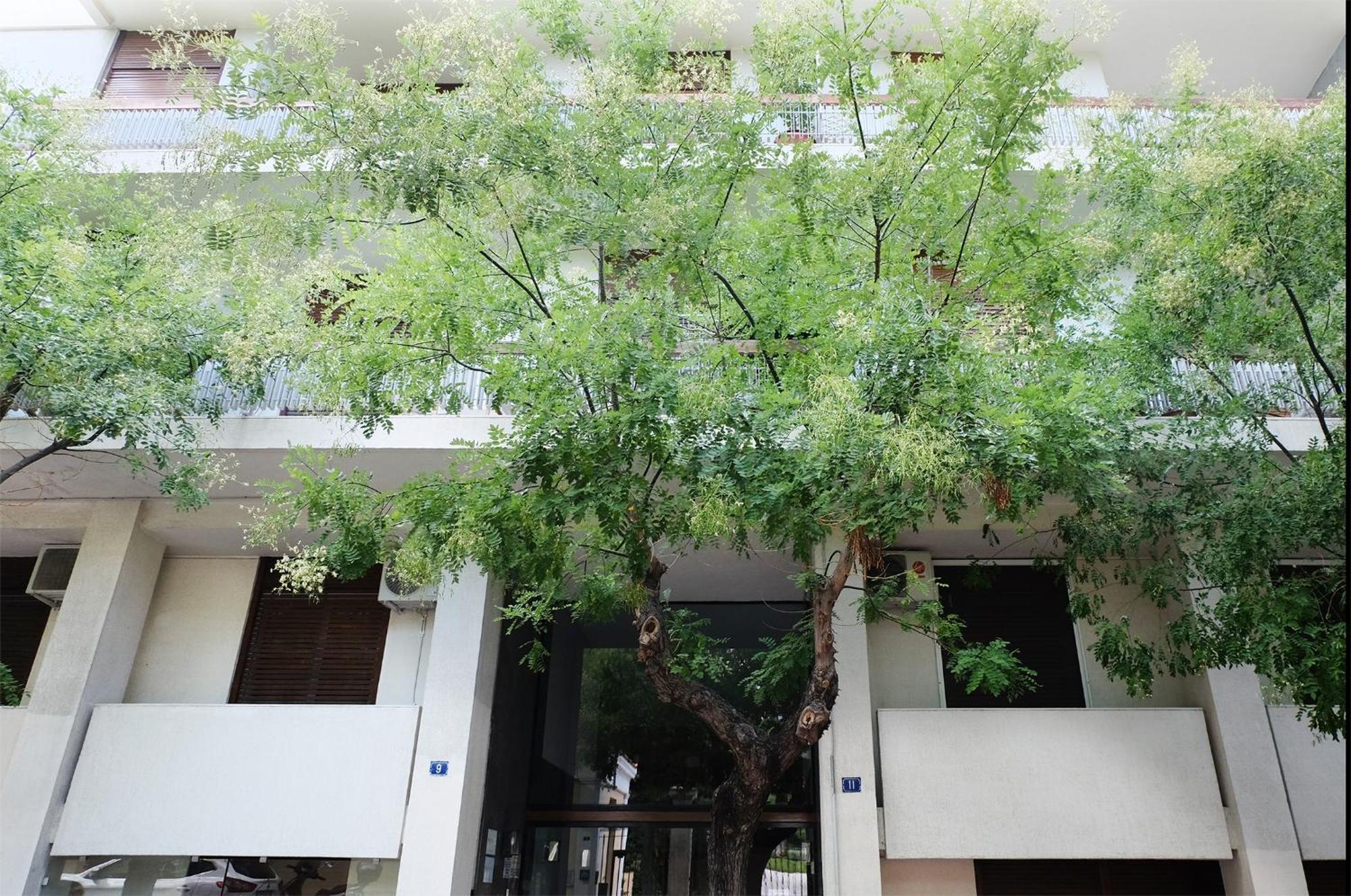 Appartement Your Haven In Kolonaki - Didotou 1br Athènes